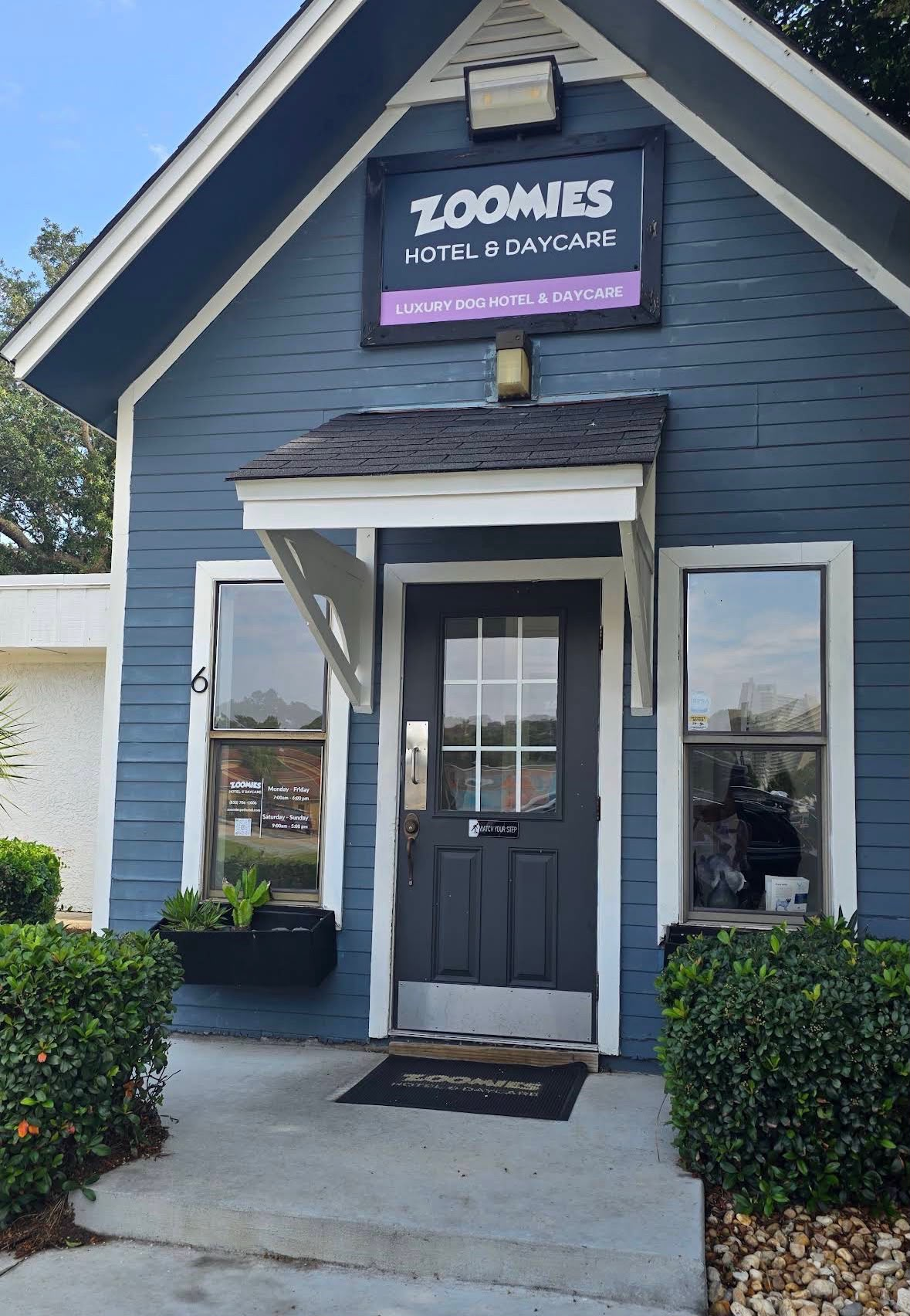 Commercial building after repaint — bold navy exterior with clean white trim, Zoomies Hotel and Daycare